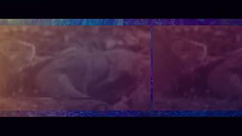 第01集